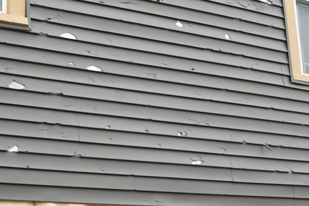 Trusted Ash Grove, MO Junk Removal Experts